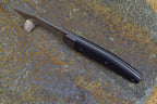 LionSteel Jack One Carbon