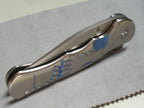 Kizer Dorado skully, Titanium Flipper